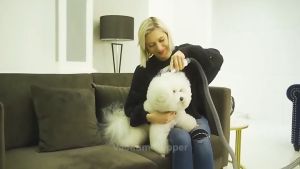 Neakasa Neabot P1 Pro Pets hair Dryer Clipper Grooming Brush Prt hair Remover for Dogs and Cats