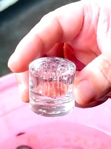 Bẫy Sán 8 Lỗ Chuyên Dụng Cho Bể Thủy Sinh Hồ Tép Cảnh