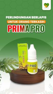 PRIMA PRO PROPOLIS  PROOLIS TERBUAT DARI AIR LIUR LEBAH PRIMA PRO PROPOLIS OBAT HERBAL TRADISIONAL PRIMA PRO