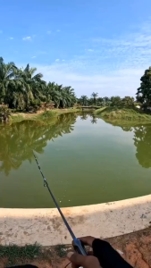 SEAHUNTER DW Power Handle Metal E-xist Spinning Reel 10+1BB 6.3:1 Gear Ratio For Saltwater (Drag 18kg) Fishing Reel