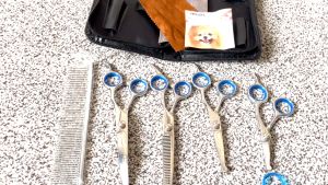 【Malaysia Shipped in 24 hours】6PCS/Set 6-Inch Beauty Scissors Pet Shearing Scissors for Dogs