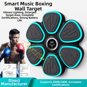 LIWAN | Bluetooth Musical Boxing Trainer