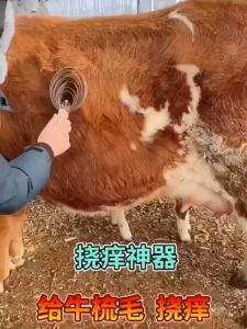 Sikat Ternak Sisir Kuda Sisir Kambing Sapi dan Hewan Ternak 4 Ring 5 Ring dan 6 Ring
