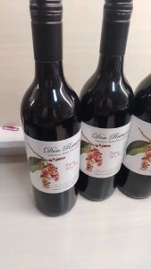 Bignay Wine (Don Ramon Collection)