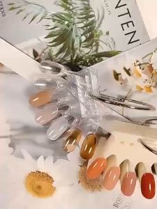 Nail Art Crown Color Card Transparent Natural Color Playing Board Color Practice Nails Fake Nails Display Nail Nail Mold