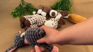 เล่น สุนัข บีบมีเสียง ของเล่นสุนัข มีเสียง แข็งแรงทนทาน ตู