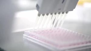 577 Whitening Freckle Cream Spot Fading Hot-Selling Moisturizing Discoloration Improvement Freckles Brightening and Moisturizing Cream