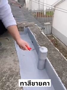 JT สีทากันรั่วซึม 1000g อุณหภูมิสูงไม่ละลาย สีกันรั่วซึม สีกันซึมบ่อปลา กาวกันน้ำรั่ว กาวกันน้ำรั่ว กาวกันน้ำ น้ำยากันซึม กาวทากันน้ำซึม กาวกันรั่วซึม น้ำยากันน้ำซึม สีกันน้ำ น้ำยากันซึม