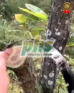 GERGAJI LIPAT PORTABLE MATA 21MM PANJANG 47CM