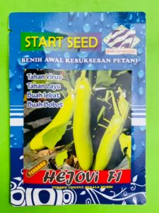 Benih Terong Hijau HEJOVI F1 kemasan 10gr dr Start Seed Tahan Virus Layu Buah Lebat Buah Bobot F