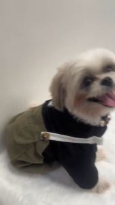 KAWAII QA°06 Fashionable Corduroy Overalls Jumper with Ring Leash: Trendy Comfortable and Perfect for Dogs and Cats