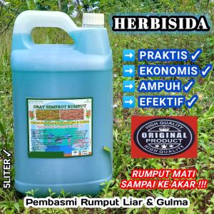 Cairan Pembasmi Rumput Liar & Gulma/Herbisida 5liter/Rumput Mati Sampai Akar