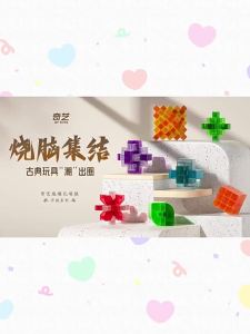 QY TOYS | Educational Intellectual Unlocking Toy Set