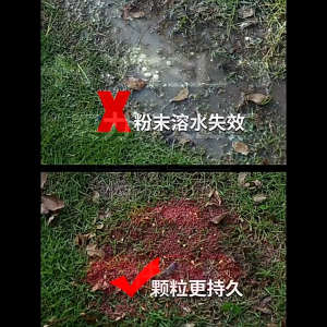 500g Serbuk Kuning Belerang Halau Ular Sulfur Belelang Sulphur/Powder Snake Repellent Repeller Penghalau Ular/优质 驱蛇粉