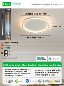 DGY | Minimalist Creative Ceiling Light 2026 Model