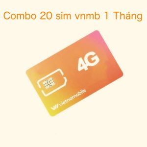 Combo 20 sim Vietnamobile hạn 1 tháng