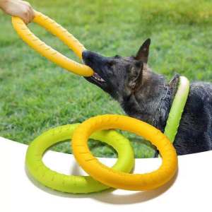 เล่น Frisbee สุนัขสัตว์เลี้ยง ดึงฟันบด โตตอบ Sensitize Your Dog to Flying Disc Throwing: Frisbee Dog Toy