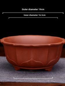 Large round Purple Clay Lotus Pot with Golden Elm Bamboo Indoor Breathable Classical Bonsai Tray Handmade Drainage Home Decor