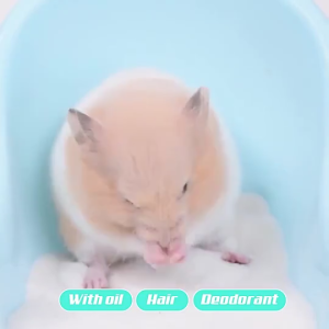 ทรายอาบน้ําหนูแฮมสเตอร์ผลิตภัณฑ์กําจัดกลิ่นทรายอาบน้ําเฉพาะสําหรับอาบน้ําหนูแฮมสเตอร์ทรายอาบน้ําสัตว์เลี้ยง 1 กก