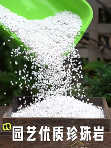 10L Perlite Particles Perlite Soil Mix Premium Soil Perlite Neutralize Acid Soil For Cultivation Succulent Plants