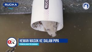 Fitting Tutup Pipa Otomatis Buka Tutup Anti Tikus Cegah Hewan Masuk Saluran Pembuangan Air Got 3 Inc