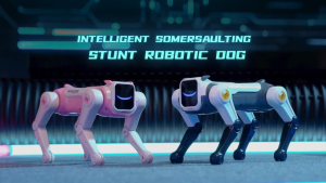 Robot Dog 2.4GHz Magical Stunt Robot Dog Lightning Flip Voice Command Cool Light Stunt Moves Smart Programming Music & Dance