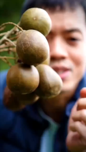 Đường La Hán Quả Monk Fruit CT 5g x 20 Gói – Đường Ăn Kiêng Không Calo Keto Giảm Cân Tiểu Đường