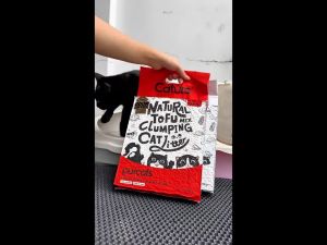Cát Vệ Sinh Đậu Nành Hữu Cơ Cao Cấp Cature Tofu Litter Purecat Dành Cho Mèo
