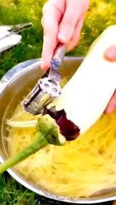 Nạo Rau Củ INOX Cao Cấp Đa Năng 2 in 1 (Nạo củ quả và bào sợi tiện lợi)