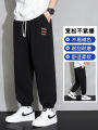 Loose Fit Sporty Sweatpants for Men Summer New Style plus Size Comfortable Casual Long Trousers Baggy Harlan Pants with Pockets. 