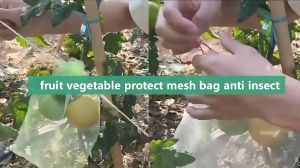 Alat Pembungkus Buah Kantong Jaring 10/50pcs: Melindungi Tanaman dari Burung