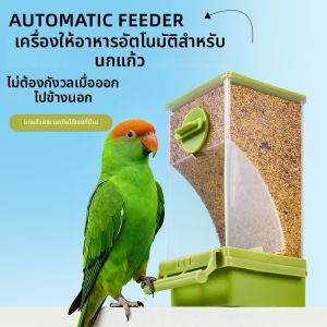 Hadassah | Automatic Feeding Seed Separation Parrot Feeder