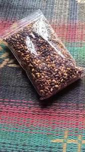 REMPATERA - Godril - Munggur - Biji Trembesi Sangrai Siap Dimakan