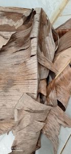 ( 1/2 kg ) DAUN PISANG KERING/KALARAS media untuk jangkerik
