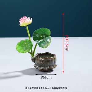 ตกแต่งจานอาหารโรงแรม ดอกไม้ ตกแต่งจาน อาหารเย็น จานตกแต่ง ดอกไม้ ปลาสไลด์ ตกแต่งจาน ชุดทำซูชิ DIY