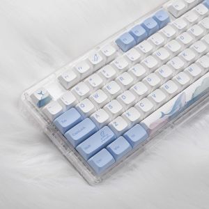 Introduction to Blue Sea Dolphin Whale Keycap Set