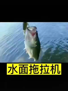 SITA Fishing Lure 6g 11g Rotating Tail Popper Floating Lure Propeller Tractor Sea Fishing Lure Hard Bait Floating Water Pencil Road