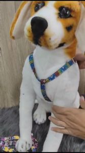 Tali Tuntun Anjing Kucing Hewan Motif HAVAS998