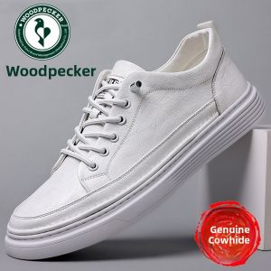 Woodpecker Mens Casual Leather Shoes Spring 2025 New Style Breathable Comfortable Fashionable Flat Heel Rubber Outsole