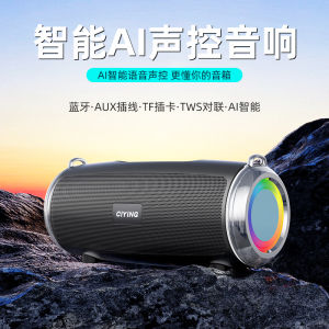Super Loud Wireless Bluetooth Speaker Super Heavy Bass Cannon Small Outdoor Card Insertion High Quality Sound Mini Speaker