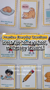 WH Questions with Answer Matching Flashcards for Kids | Speech Therapy SPED sned Learning Cards SNED AUTISM SPEECH DELAY