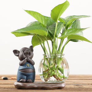 Bình Hoa Thủy Tinh Màu Sắc Sáng Tạo Bình Hoa Treo Trang Trí Bình Hoa Thủy Sinh Cây Thủy Tinh Đồng Cây Rau Lá Xanh Bình Hoa