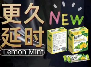 JK8 LEMON Mint 薄荷柠檬 一盒12袋
