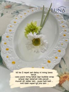 LUNA [Ins White Daisy Dinnerware] Ceramic Plate Salad Bowl Flower Tableware Set