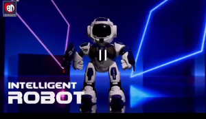 Whimsy World - Remote controlled robot w/ program voice I Kids Toy I Robot Toy (Walk Sing & Dance)