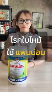 กำจัดเชื้อรา โรคใบไหม้ ใบจุด ในต้นกล้วย แพนน่อน(แมนโคเซป) + สารจับใบ FK เพิ่มประสิทธิภาพการดูดซึม