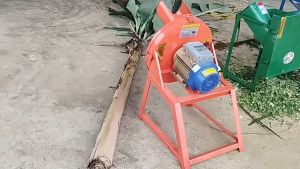 Máy Băm Chuối Nguyên Cây Công Suất 2HP Họng Cho Nguyên Liệu 20CM