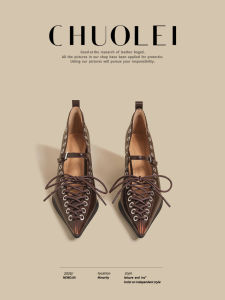 CHUOLEI | Spring New Arrival French Style Mary Jane Shoes Brown Lace-Up