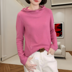 Double-Sided Dralon Sweatshirt Womens Winter New Arrival Hooded round Neck Pure Color Bottoming Shirt Fashion Minimalist Western Style Slimming Tops