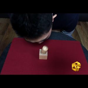 Alat Sulap Shake IQ: Mainan Sulap Ambil Kayu Tanpa Menyentuh